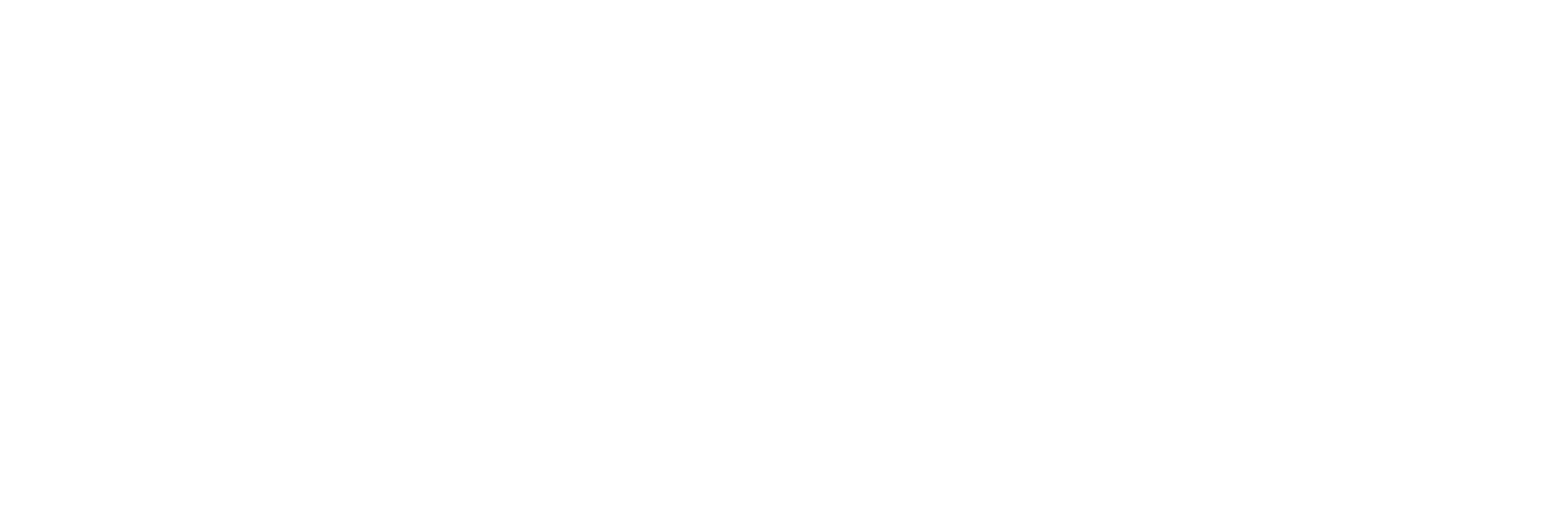 Stadtwerke Hechingen Logo in weiß